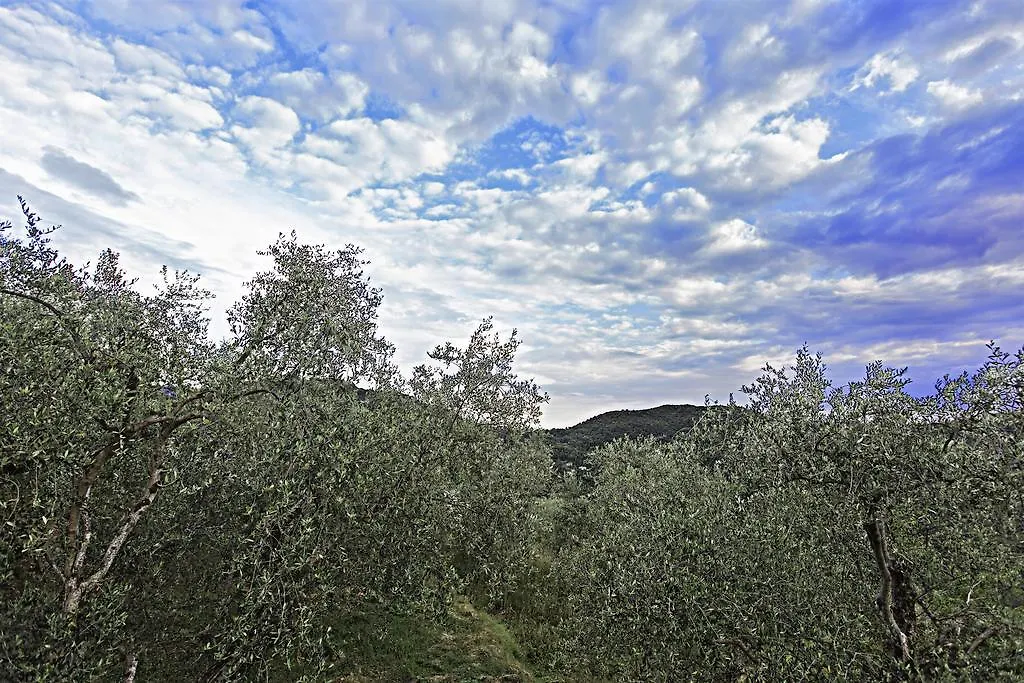 Agriturismo Terre Del Mistero Apricale 0*,