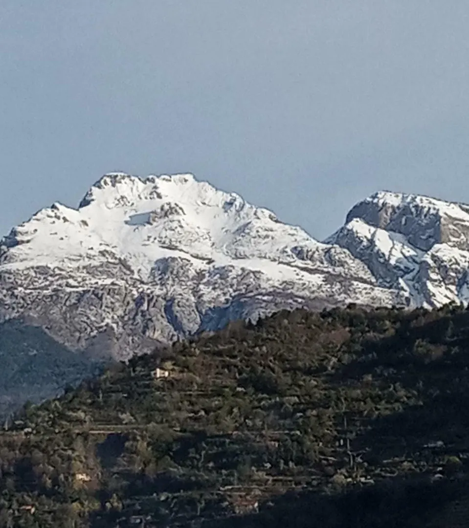 Agriturismo Terre Del Mistero Apricale Italy